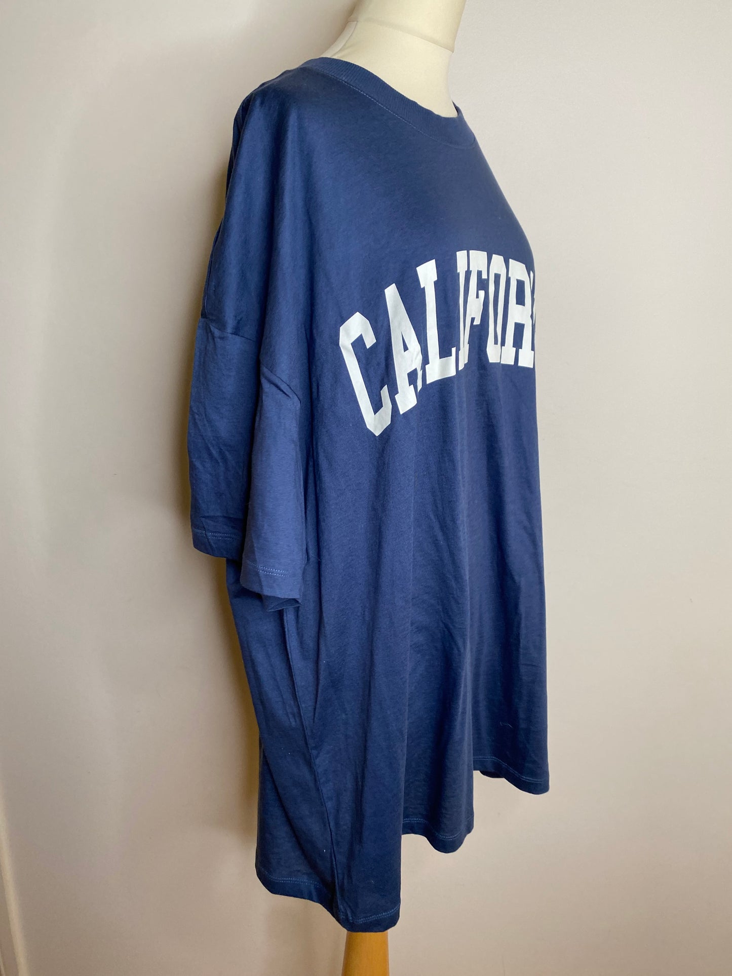 Divided - L 12 - BNWT blue oversized California print T-shirt